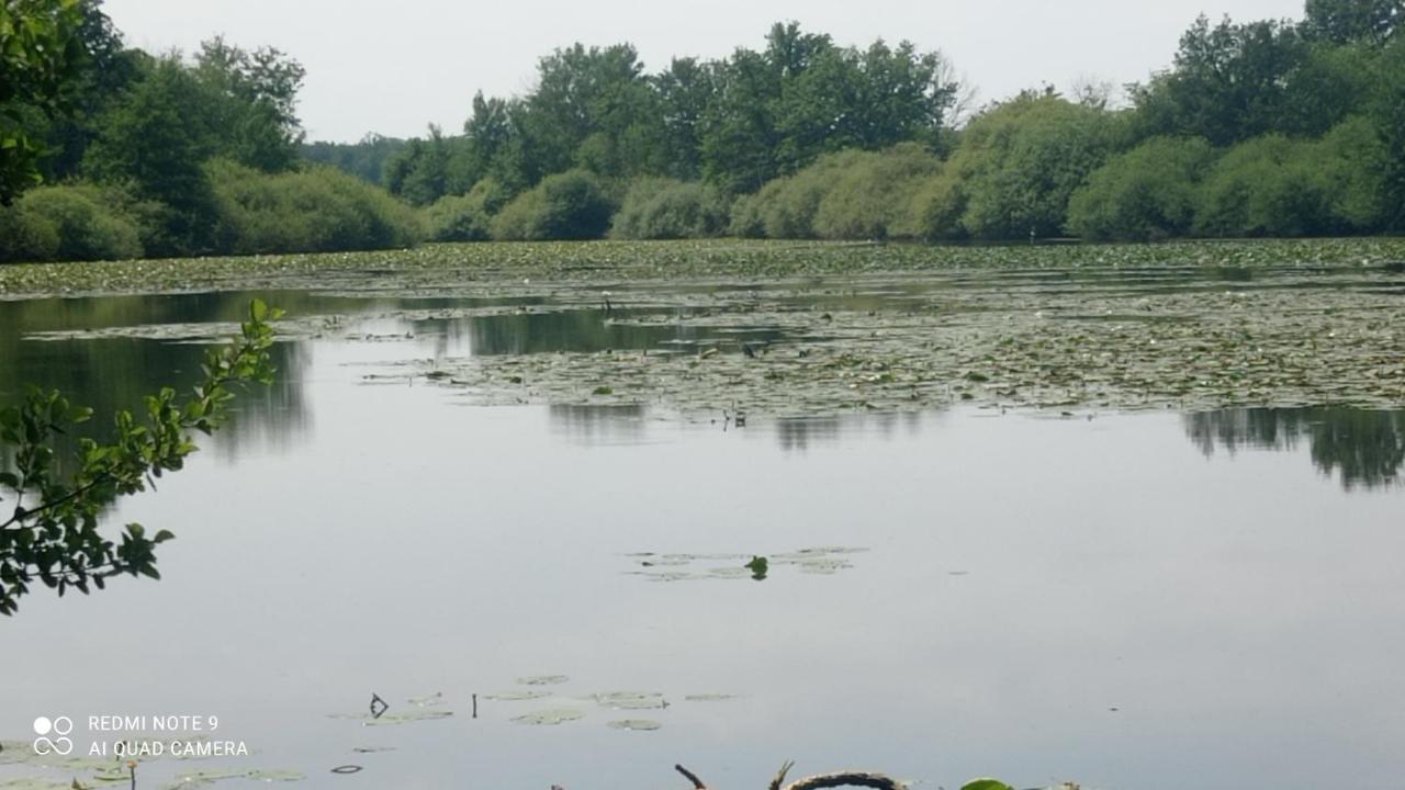 Maison De Ferme Au Calme Jusqu'A 10 Personnes Gannay-sur-Loire Kültér fotó