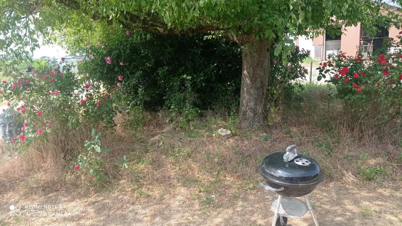 Maison De Ferme Au Calme Jusqu'A 10 Personnes Gannay-sur-Loire Kültér fotó